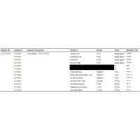 Πράσινο μαλαισιανό Kratom 100g